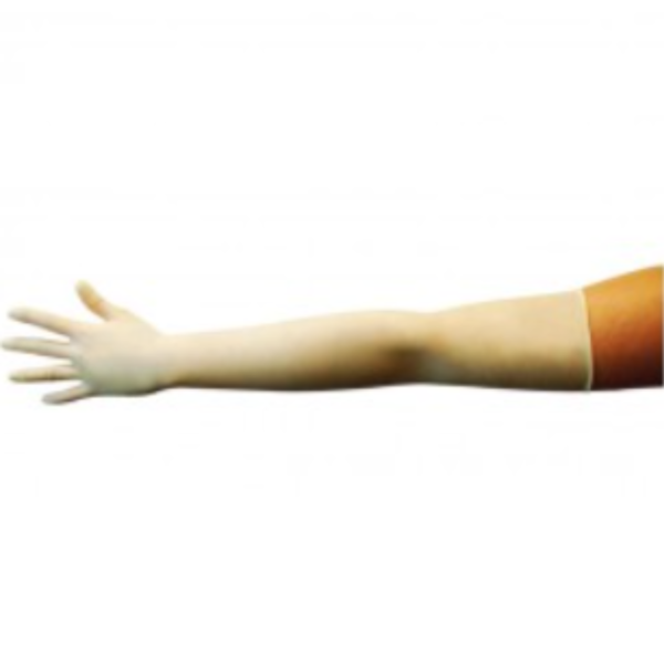 Gants stérile  pour révision utérine